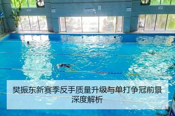 樊振东新赛季反手质量升级与单打争冠前景深度解析 - MILANSPORT